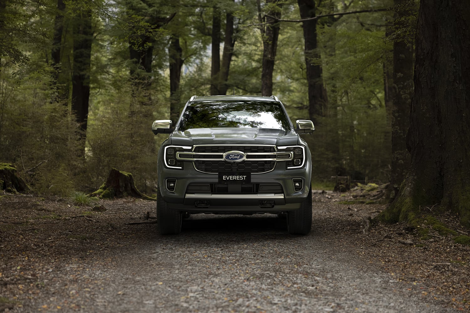 Mạnh mẽ hơn và Rộng rãi hơn